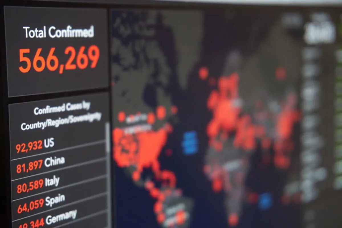 Koiran esinahan tulehdus – Oireet, syyt ja hoito