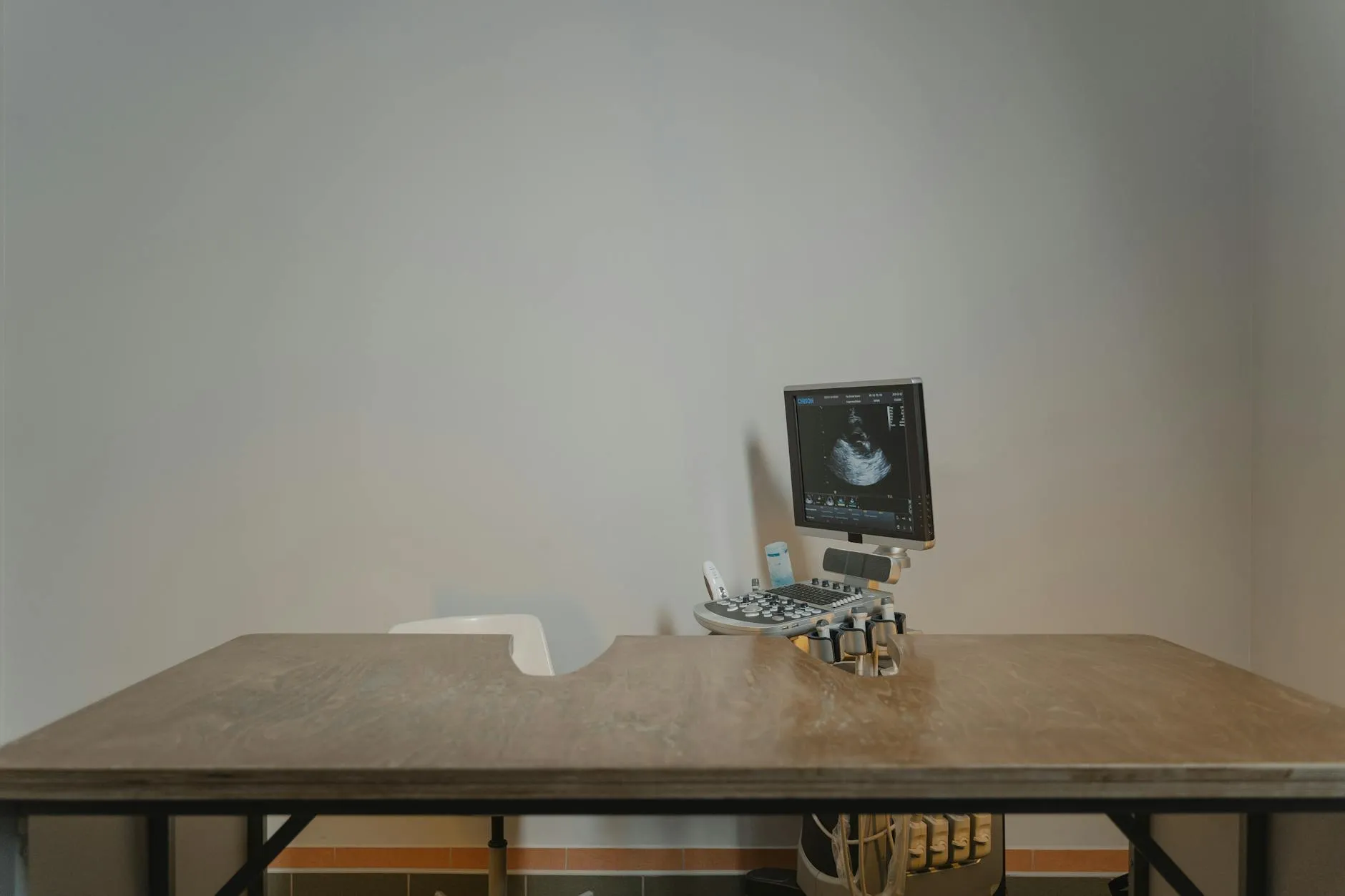 Koiran kastrointi ja toipuminen